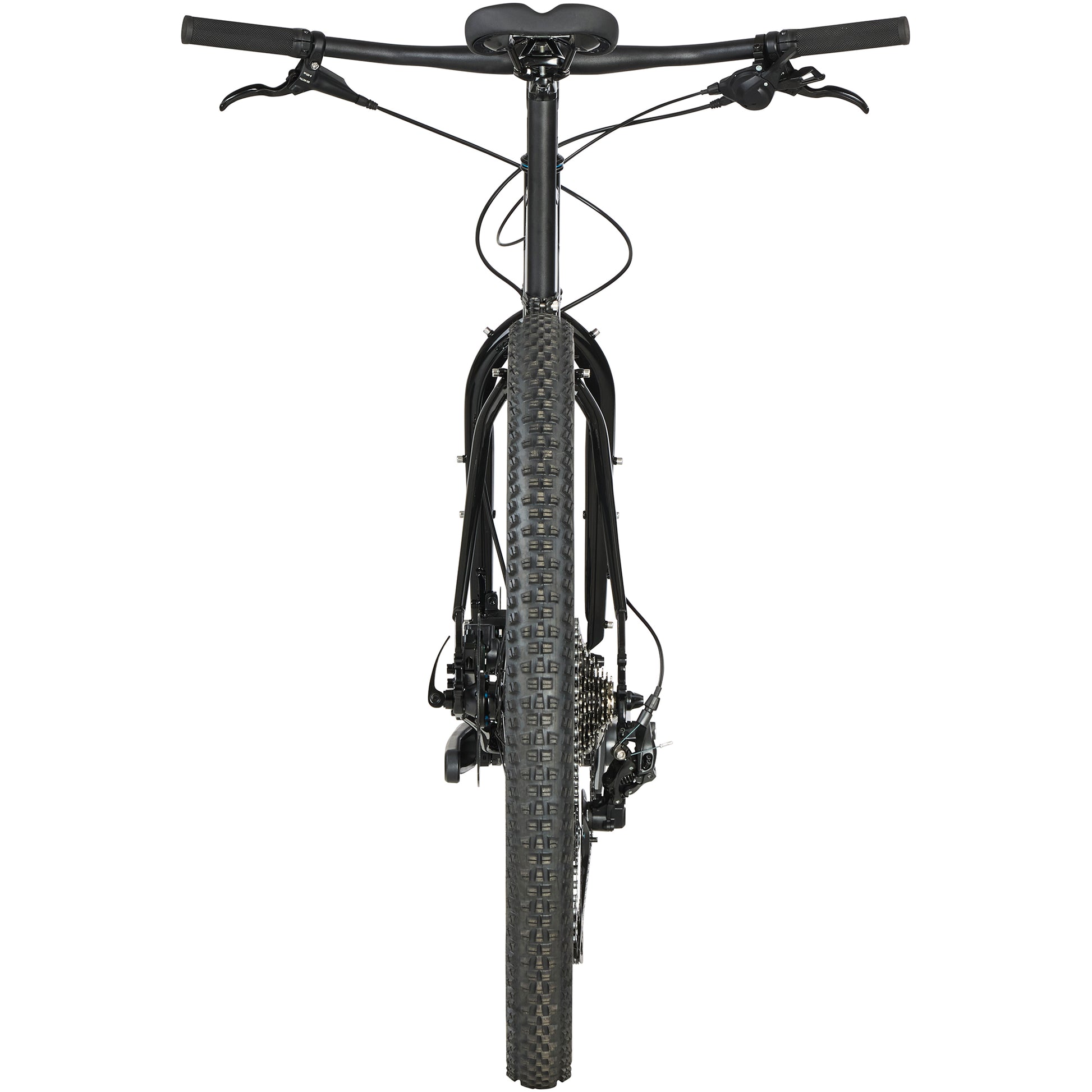 Surly Bridge Club Bike Trevor's Closet Black back view